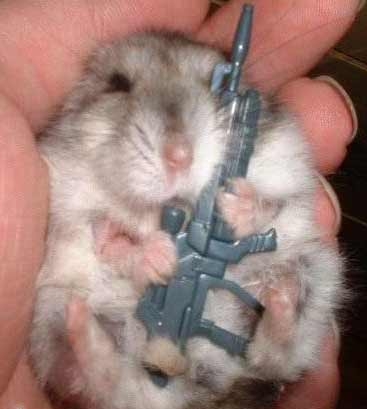 terroristen-maus.jpg