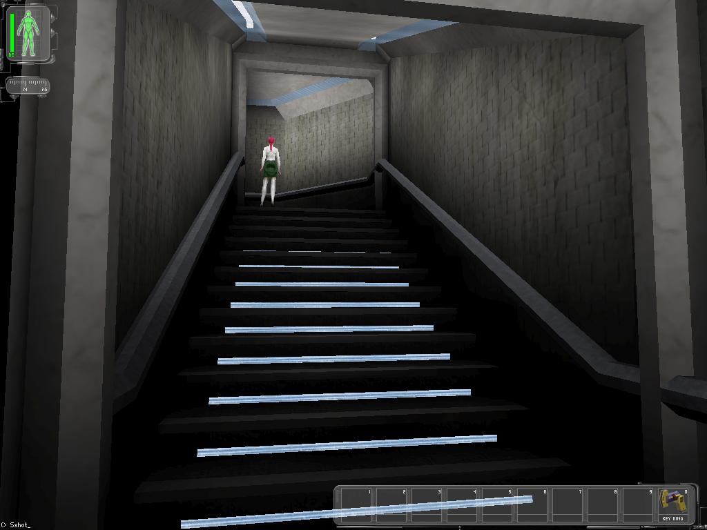 underground staircase<br />for some reason the unlit are on top of the hud