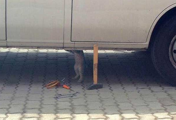 kleiner-automechaniker.jpg